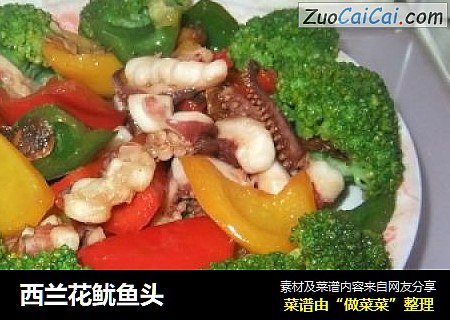 西兰花鱿鱼头