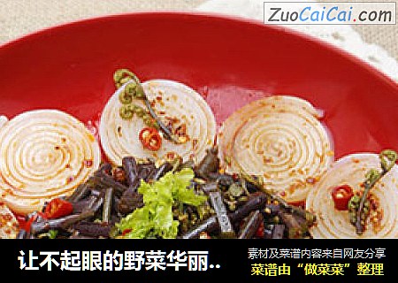 让不起眼的野菜华丽变身——花开富贵