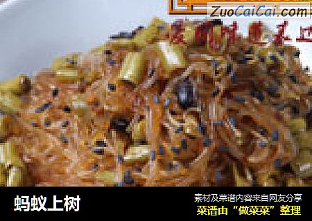 蚂蚁上树