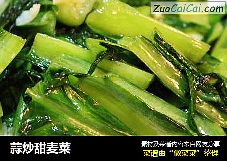 蒜炒甜麦菜
