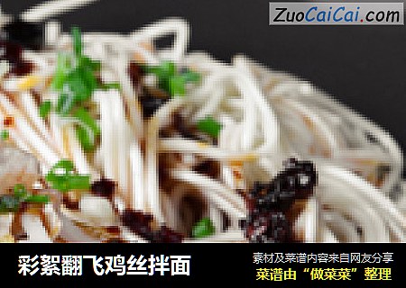 彩絮翻飞鸡丝拌面