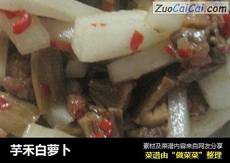 芋禾白萝卜