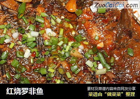红烧罗非鱼