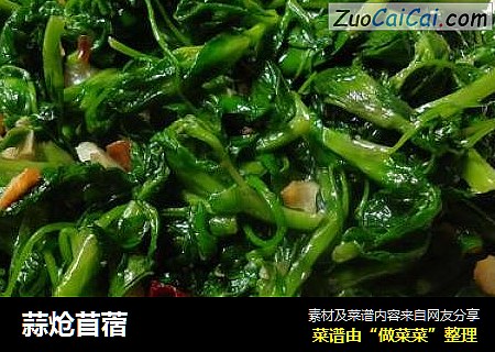 蒜炝苜蓿