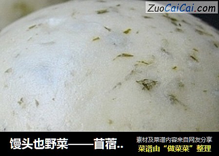 馒头也野菜——苜蓿馒头