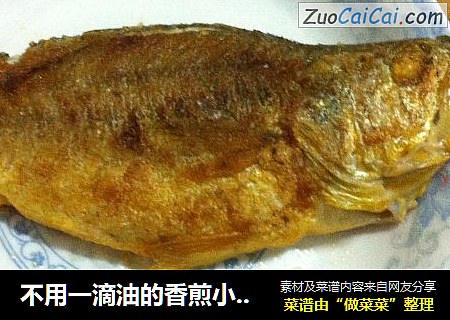 不用一滴油的香煎小黄鱼