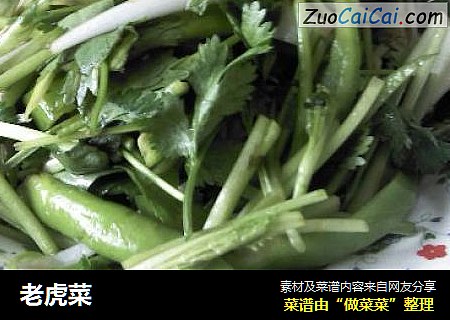 老虎菜
