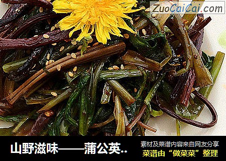 山野滋味——蒲公英拌蕨菜
