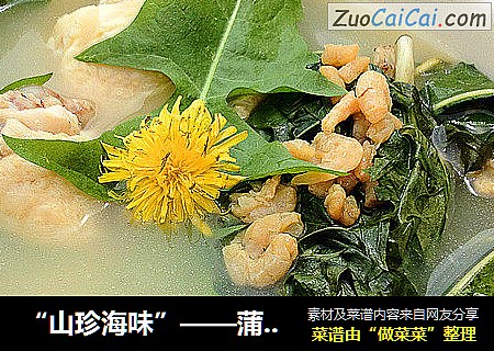 “山珍海味”——蒲公英虾米鸡汤
