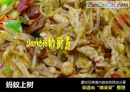 蚂蚁上树