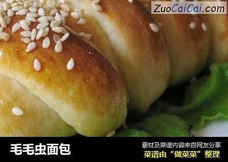 毛毛虫面包