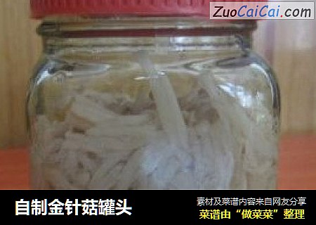 自制金针菇罐头