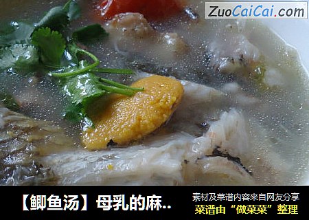 【鲫鱼汤】母乳的麻麻一定要喝的汤