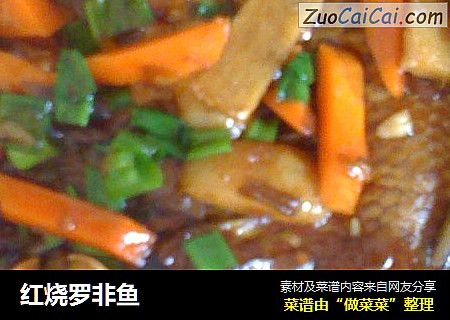 红烧罗非鱼