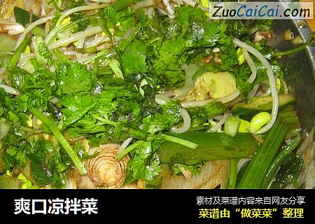 爽口凉拌菜