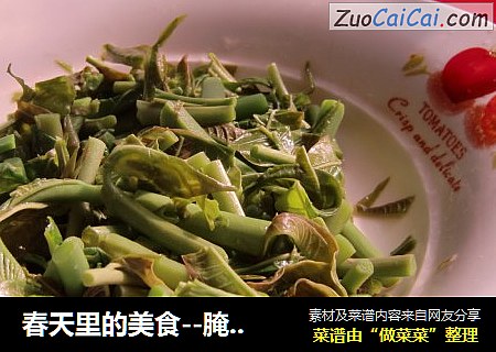 春天里的美食--腌香椿芽