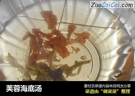 芙蓉海底汤
