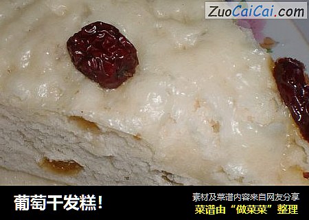 葡萄干发糕！