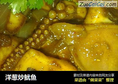洋葱炒鱿鱼