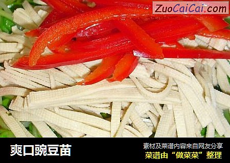 爽口豌豆苗