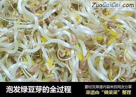 泡发绿豆芽的全过程