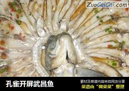 孔雀开屏武昌鱼