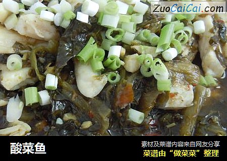 酸菜鱼