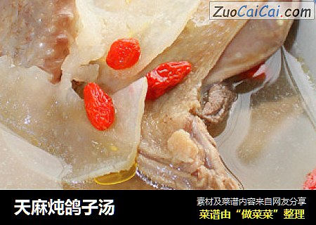 天麻炖鸽子汤