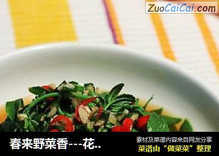 春来野菜香---花椒芽两吃