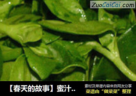 【春天的故事】蜜汁穿心莲