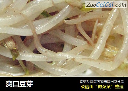 爽口豆芽