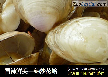 香辣鲜美—辣炒花蛤