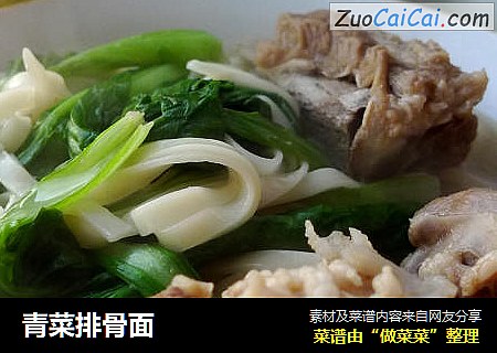 青菜排骨面
