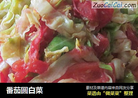 番茄圆白菜