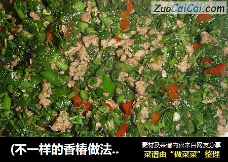 (不一样的香椿做法)辣椒肉末炒香椿