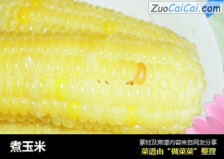 煮玉米