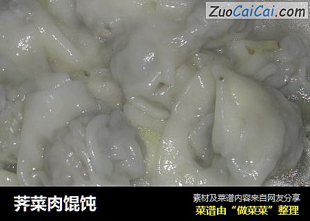 荠菜肉馄饨