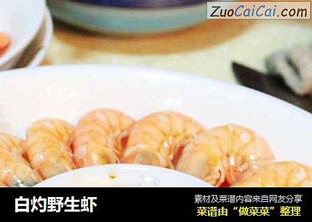 白灼野生虾