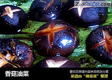 香菇油菜