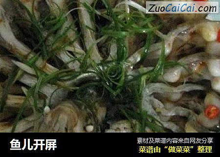 鱼儿开屏
