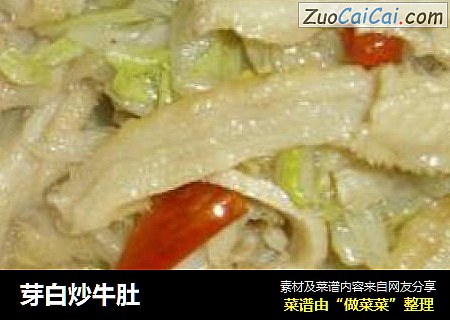 芽白炒牛肚