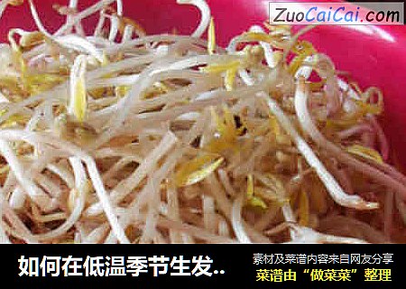 如何在低温季节生发绿豆芽
