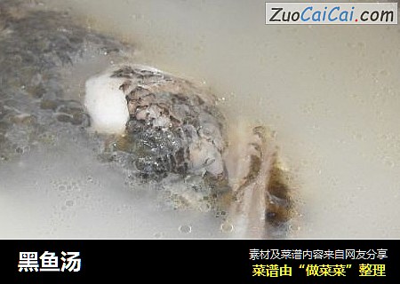 黑鱼汤