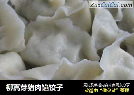 柳蒿芽猪肉馅饺子