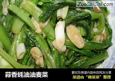 蒜香蚝油油麦菜