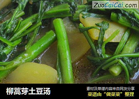柳蒿芽土豆汤