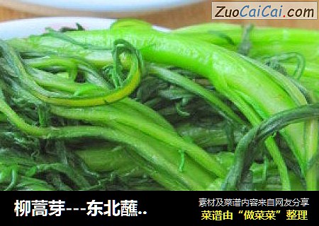 柳蒿芽---东北蘸酱菜