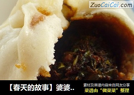 【春天的故事】婆婆丁大蒸包