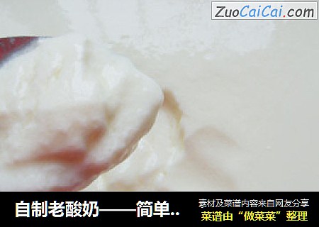 自制老酸奶——简单易学健康酸奶