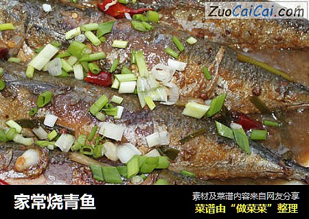 家常烧青鱼